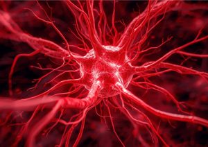 Rehabilitación integral en enfermedades neuromusculares Enfermedades neuromusculares, rehabilitación integral