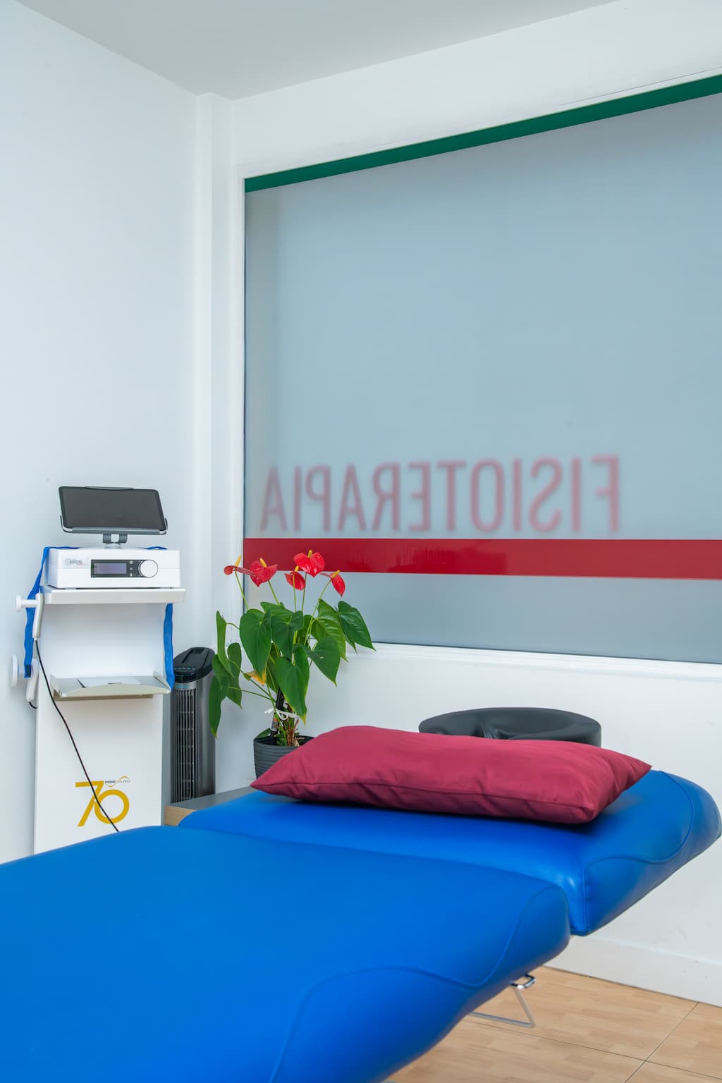 Fisioterapia vestibular en Ciudad Rodrigo fisiowarm diatermia fisioterapia ciudad rodrigo