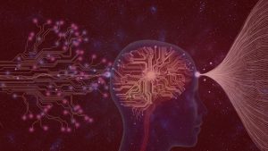 Reserva cognitiva y Lenguaje en Clínica Córtex